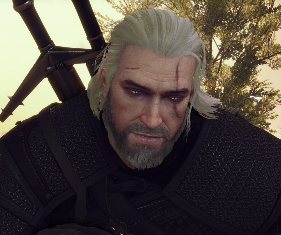Geralt (CC BY-NC 2.0) by Pimskill