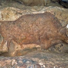 Peinture de bison présente dans la grotte de Font de Gaume