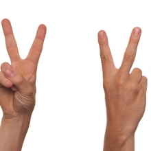 Deux mains signant la lettre "V" (alphabet LSF), de face et de dos.
